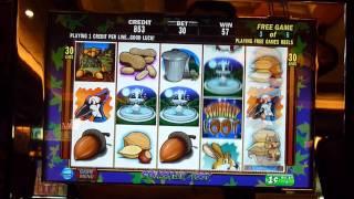 Squirrelly Loot Slot Machine Bonus Win (queenslots)