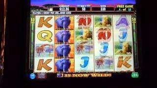 Savanna Slot Machine Bonus Win (queenslots)