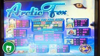 Artic Fox slot machine, bonus
