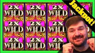 JACKPOT HANDPAY! You Won't Believe How Much 3 Wild Reels With 8X Multiplier Pays! Winning W/ SDGuy