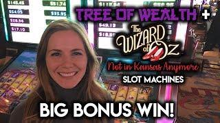 $8.80 MAX Bet! Tree of Wealth Great Win! Not in Kansas Anymore Rare 2 Tall Reels and 3X Multiplier