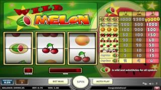 Free Wild Melon Slot by Play n Go Video Preview | HEX