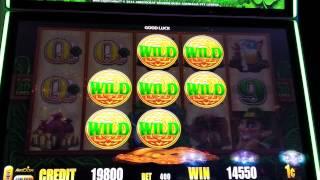Wild lepre'Coins free spins,  wow,