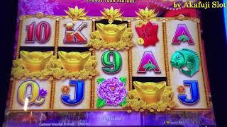 ALL BIG WIN•Fortune King Gold, Timber Wolf, Amazing Money Machine, Pechanga Casino, Akafujislot