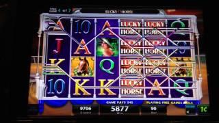Lucky Horse Free Spins On 90 Cent Bet