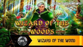 Wizard of the Wood slot by 2by2 Gaming