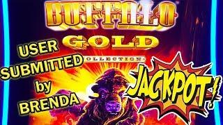 Buffalo Gold BONUS JACKPOT! Brenda's BIG WIN!