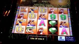 Tigress Bonus Win on a Penny Slot Machine