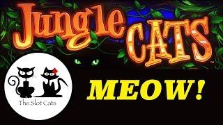 San Manuel Casino • Lepre'Coin • Jungle Cat • The Slot Cats •
