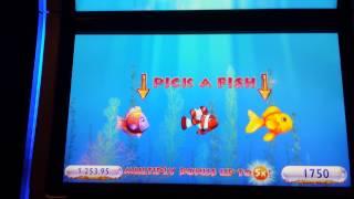 Gold Fish 3 Slot Machine. Multiply Bonus.