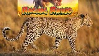RAGING RHINO (SG GAMING) LEOPARDS SHOW SOME LOVE. MEGA WIN!
