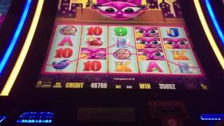 Another huge win on miss kitty gold slot (max bet)