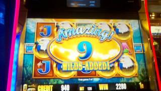 Aristocrat Birds of PAY  slot machine Good win multiple style bonus styles