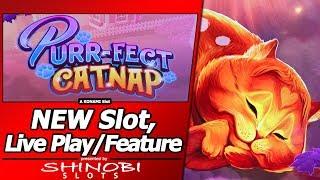Purr-Fect CatNap Slot - Live Play with Giant 3D Re-Spin Feature