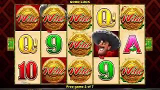 WILD FIESTA'COINS Video Slot Casino Game with a FREE SPIN BONUS