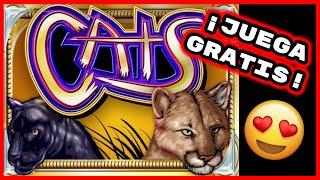Tragamonedas CATS ★ Slots ★ UN CLÁSICO! ★ Slots ★ Juegos de Casino Gratis