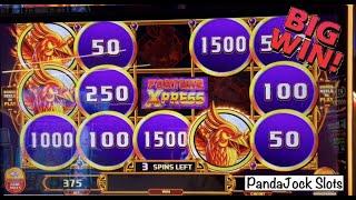 Two backup spins and a BIG chicken win! Fortune Express