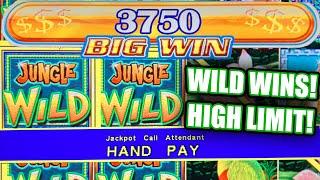 HIGH LIMIT JUNGLE WILD JACKPOTS ⋆ Slots ⋆ FREE GAMES BONUS BIG WINS!