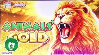 •  Animals' Gold slot machine, bonus