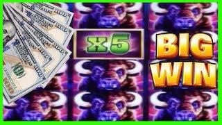 • BIG BUFFALO BONUS•$5 Max Bets • EZ Life Slot Jackpots
