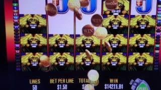 MEGA BIG WIN 24000$  Lions Slot Machine   (not live)