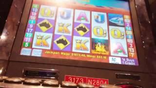Freeplay wins! Winter Wolf, Outback Jack and cash express timberwolf slot machines!
