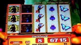 Silverback a WMS game slot machine $200 bonus win