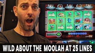 • WILD About the Moolah at 25 Lines! • + Lightning Cash Magic Pearl