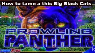 ⋆ Slots ⋆HOW TO TAME A BIG BLACK CATS⋆ Slots ⋆PROWLING PANTHER Slot (IGT) Slot Play ⋆ Slots ⋆SUPER S