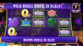 Tiki Magic free spins 2 videos