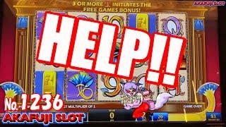 Hibernation⋆ Slots ⋆ CLEOPATRA Slot Machine @YAAMAVA Casino 赤富士スロット 冬眠したいわ…⋆ Slots ⋆