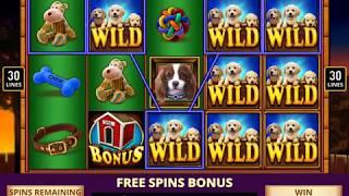 PAWPALOOZA Video Slot  Casino Game with a PAWPALOOZA FREE SPIN BONUS