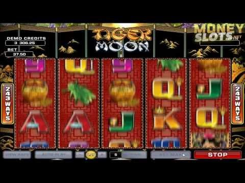 Tiger Moon Video Slots Review | MoneySlots.net