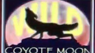 Coyote Moon •LIVE PLAY MAX BET• Slot Machine at Harrahs Las Vegas