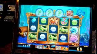 Gold Fish Race for the Gold Slot Machines Bonus Win (queenslots)