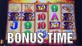 Buffalo Gold nice win Bonus * 13 heads and 59 spins and anxiety....All in one Bonus !