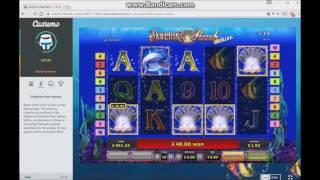 Dolphin's Pearl Deluxe - Insane Win - 180 Free Spins?! • Craig's Slot Sessions