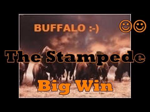 31# ~BIG WIN~ 2c Buffalo | THE STAMPEDE | Slot Machine Line Hit