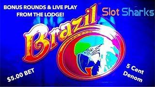 Brazil Bonus Rounds & Live Play  - The Lodge Casino