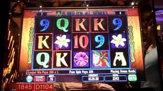 Dragonfly Bonus Win on Slot Machine  Sands Casino Bethlehem