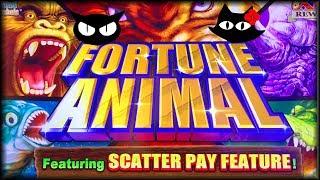 Dreamstar • Fortune Animal • The Slot Cats •