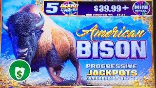 American Bison slot machine, bonus