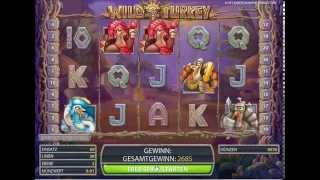 Wild Turkey Slot - Freespin Feature - Big Win (225x Bet)