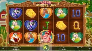 Oink Country Love new Microgaming slot review by dunover