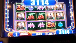 Jungle Wild III bonus