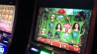 The Princess Bride Slot Machine Bonus