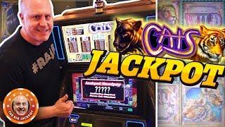 •BACK TO BACK BIG WIN$! •Cats Slot Pays! | The Big Jackpot