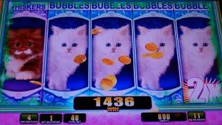 OMG! Kittens Slot Machine Bonus - 15 Free Games with 2x Multiplier + Scatter Pays - Nice Win