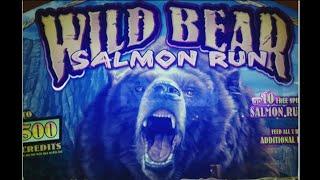• • Wild Bear • Salmon Run 60 Free Spins • by igt Slot