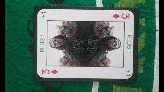 5 Blackjack Card Counting Tips - BlackjackArmy.com